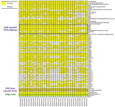 Genetic and virulence characteristics of hybrid Shiga toxin-producing and atypical enteropathogenic Escherichia coli strains isolated in South Korea